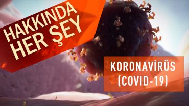 Koronavirüs (COVID 19) Hakkında Her Şey